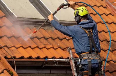 Démoussage et hydrofuge de toiture à Porte du Ried